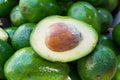 Bunch of raw ripe organic avocados whole and halved at farmers market. Kernel pit silky flesh texture. Seasonal harvest crop local Royalty Free Stock Photo