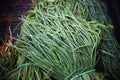 Bunch of raw salwort food vegetable on market stall