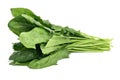 Bunch of raw spinach Royalty Free Stock Photo