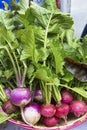 Turnips with leaves