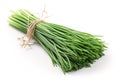 A bunch of ready to cook chives on a white background.