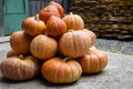 A bunch of real natural orange pumpkins without retouching lie in the farmy yard , copy space