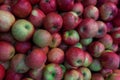 A bunch of red apples. fresh apples on the market shelf Close-up. Royalty Free Stock Photo