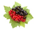 Bunch of red and black currant on leaves Royalty Free Stock Photo