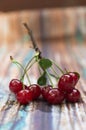 A bunch of red cherries. Royalty Free Stock Photo