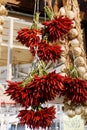 Bunch of Red Chilli Peppers - Mercato Orientale, Genoa, Italy