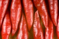 Bunch of red chilli peppers sitting end to end on a timber chopping board Royalty Free Stock Photo