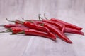 Bunch of red Chilli Peppers in white background Royalty Free Stock Photo