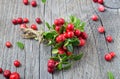 Bunch of red cowberry Royalty Free Stock Photo
