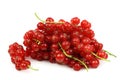 Bunch of red currant Royalty Free Stock Photo