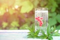 bunch of red currants in a glass of soda. Mint leaves. Summer drink.