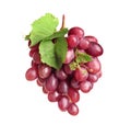 Bunch of red fresh ripe juicy grapes isolated Royalty Free Stock Photo