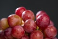 Bunch of red grapes on black background with water drops Royalty Free Stock Photo