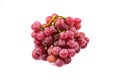 Bunch of red grapes , fresh with water drops. Isolated on white Royalty Free Stock Photo