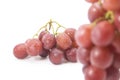 Bunch of red grapes , fresh with water drops. Isolated on white background Royalty Free Stock Photo