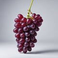 A Bunch of Red Grapes Hanging Against a White Background Royalty Free Stock Photo