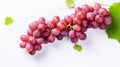 Bunch of red grapes isolated on white background Royalty Free Stock Photo