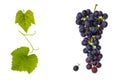 red grapes with leaves and copy space in middle Royalty Free Stock Photo