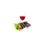 Bunch of red grapes and leaves and red wine glass on white background Royalty Free Stock Photo