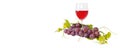 Bunch of red grapes and leaves and red wine glass on white background Royalty Free Stock Photo