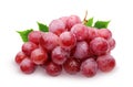 Bunch of red grapes with leaves on a white background. Royalty Free Stock Photo