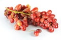 Bunch of red grapes Royalty Free Stock Photo