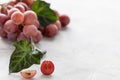 Bunch of red grapes on a white background. Copy space. Place for text