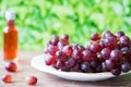 Bunch of red grapes on white plate, against green leaves background. space for text Royalty Free Stock Photo