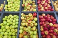 Bunch of red and green apples on boxes in supermarket. Red and green apples at the farmers market. Apples being sell at public