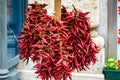 Bunch of red hot chilli peppers Royalty Free Stock Photo