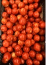 Bunch of red, juicy and ripe tomatoes for sale at a retail store in India Royalty Free Stock Photo