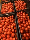 Bunch of red, juicy and ripe tomatoes for sale at a retail store in India Royalty Free Stock Photo