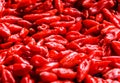 Bunch of red lantern hot chilli peppers. Royalty Free Stock Photo