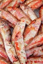 Bunch of red mullet fishes on ice at fish market Royalty Free Stock Photo