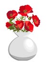 Bunch of red poppies in white round ceramic vase. Isolated on white background Royalty Free Stock Photo