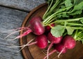 Bunch of red radish from a garden bed Royalty Free Stock Photo