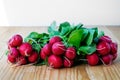 Bunch of red radishes Royalty Free Stock Photo