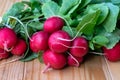 Bunch of red radishes Royalty Free Stock Photo