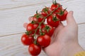 Bunch of red ripe  cherry tomatos in hand Royalty Free Stock Photo
