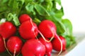 Bunch of red ripe radish