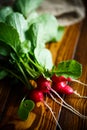 Bunch red ripe radish Royalty Free Stock Photo