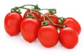 Bunch of red roma vf tomatoes. Solanum lycopersicum. Fresh plum tomato cluster. Vegetable isolated on white background Royalty Free Stock Photo