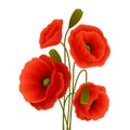 Poppy flower poster vector design illustration Royalty Free Stock Photo