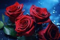 a bunch of red roses against blue background