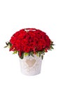 Bunch red roses in bucket. Isolated on white background Royalty Free Stock Photo