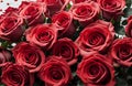 Bunch of red roses flowers pattern. Top view, Natural fresh Red rose flower bouquet background. Valentines week special