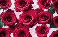 Bunch of red roses flowers pattern. Top view, Natural fresh Red rose flower bouquet background. Valentines week special