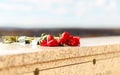 Bunch of red roses taped on stone wall at memorial of mausoleum, perspective view