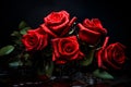 Bunch of red roses with water droplets on them on black background. Generative AI Royalty Free Stock Photo