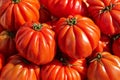 Bunch of red tomato RAF Royalty Free Stock Photo